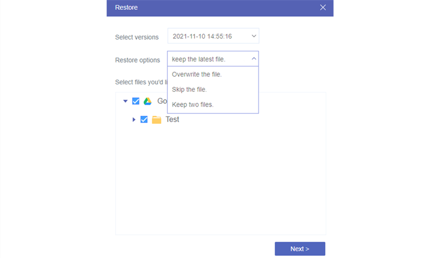 Select Version and Files You Need to Restore
