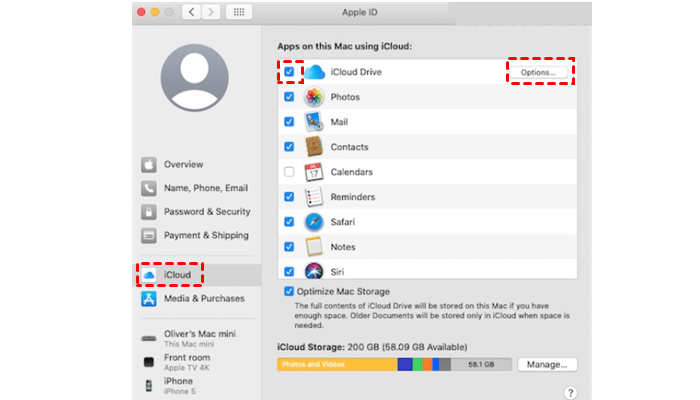 iCloud Options