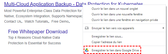 Enregistrer le lien dans Google Drive